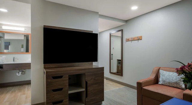 Люкс c 1 комнатой Hampton Inn Linden