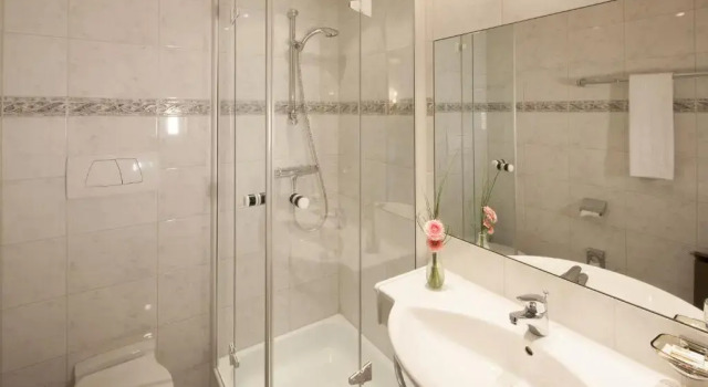 Одноместный номер Standard Hotel Elisabeth