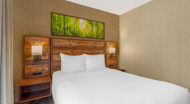 Двухместный люкс Best Western Plus Valemount Inn & Suites