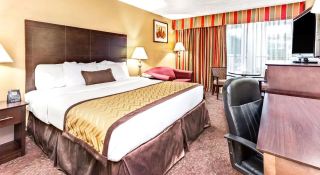 Двухместный номер Standard Wyndham Garden Detroit Metro Airport