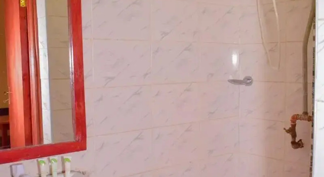 Номер Standard Greenvale Hotel