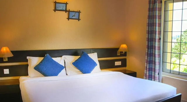 Люкс Deluxe Green Pastures - A Hill Country Resort