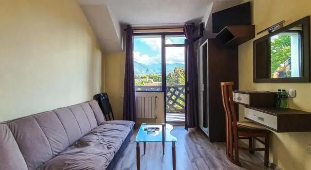 Двухместный номер Standard с балконом Dolna Bania Hotel