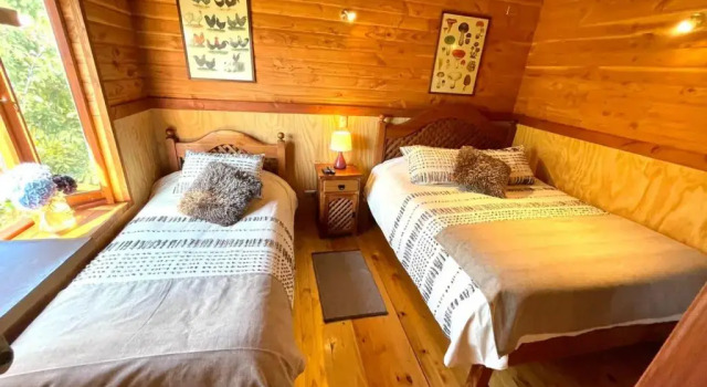 Двухместный номер Standard Hostal Pucon Sur