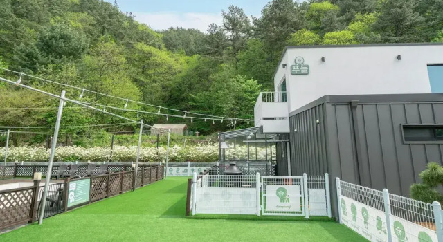 Номер Standard c 1 комнатой с балконом Gapyeong Dangdangi Pet Poolvilla Blue