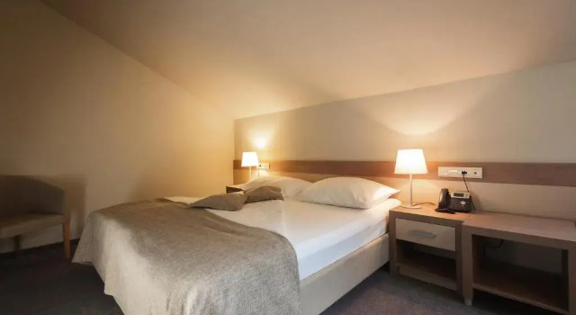 Люкс Standard Terme Olimia - Aparthotel Rosa