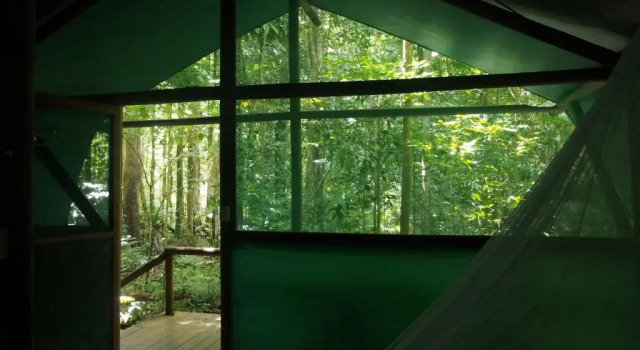 Номер Economy Daintree Crocodylus