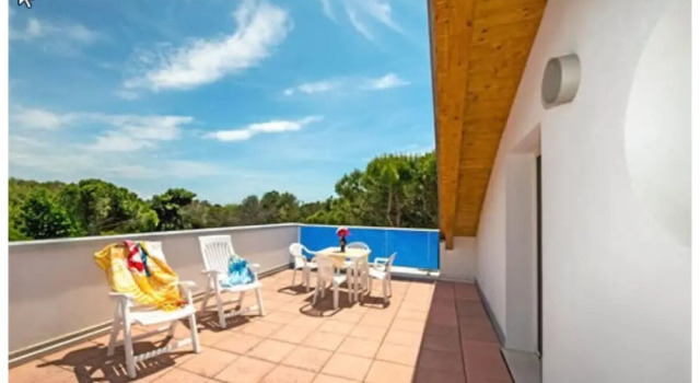Pellicano