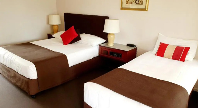 Номер Standard McNevins Warwick Motel