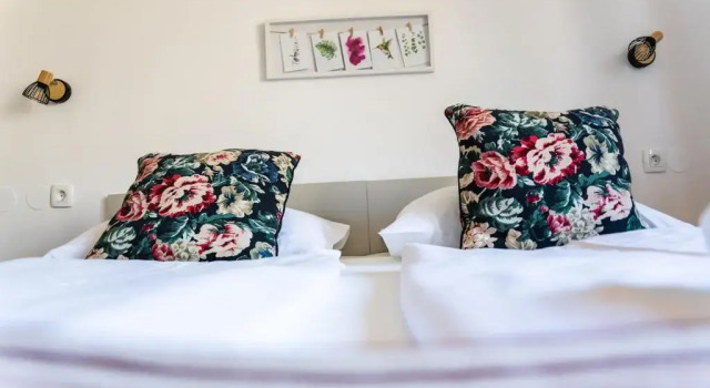Апартаменты c 1 комнатой с балконом и с видом на горы Aparthotel Triglav