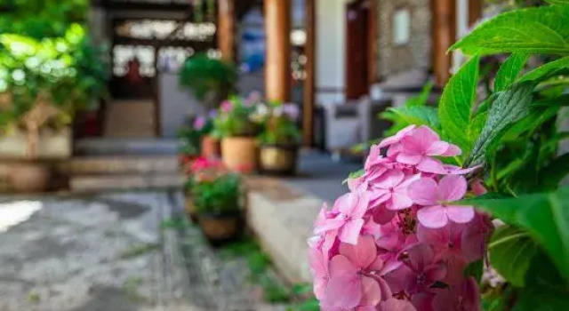 Shanfeng Garden Inn (Lijiang Ancient Town Mufu Branch), Забронировать Отель Лицзян Юньнань, рядом с Улица Сквер-стрит Древнего города Даянь