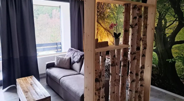 Studio in Winterberg Near Ski Slopes, Забронировать Отель Отели Винтерберг с парковкой, рядом с Трамплин "Св. Георг", Парковка