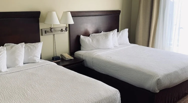 Люкс Euro-Suites Hotel