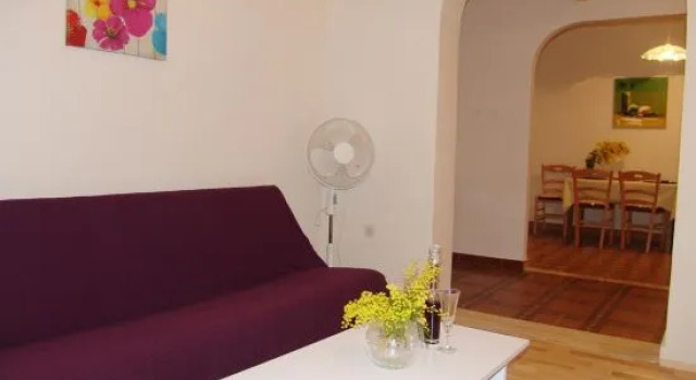 Apartment Viki