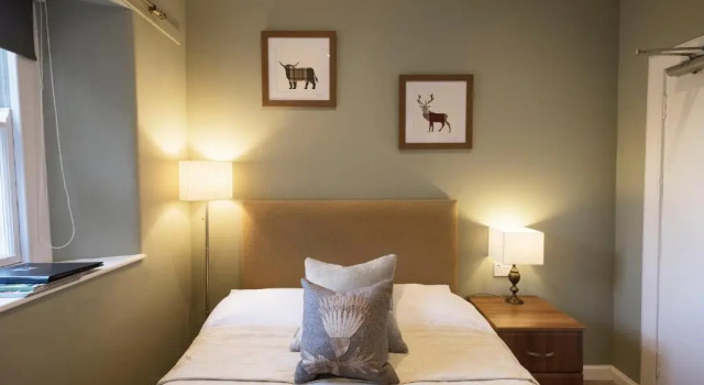 Одноместный номер Standard Allanton Inn