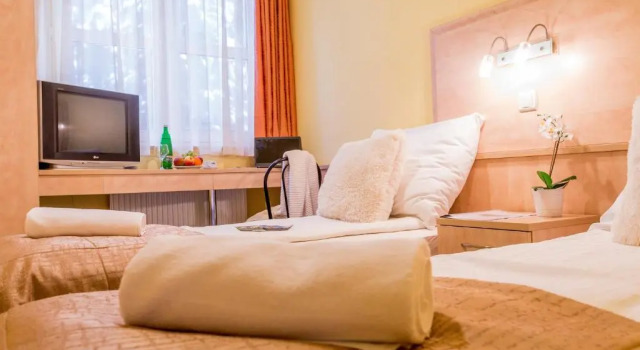 Двухместный номер Standard Salgó Hotel
