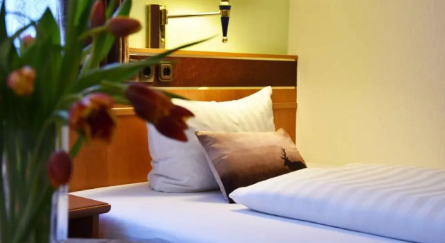 Номер Standard Landhotel Zum Hirsch