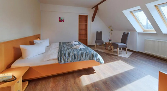 Двухместный номер Superior Hotel Luther Birke Wittenberg