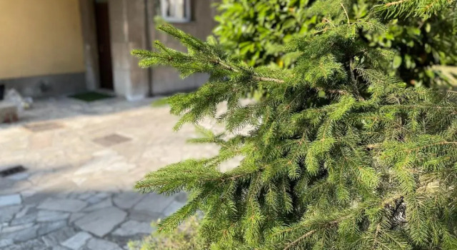 Апартаменты Affitti brevi Caterina 2
