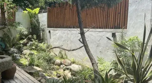 Suite PingTan Suse