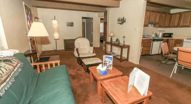 Bearly Rustic - 2BR 1BA, WiFi, Nice Back Yard for Snow Play