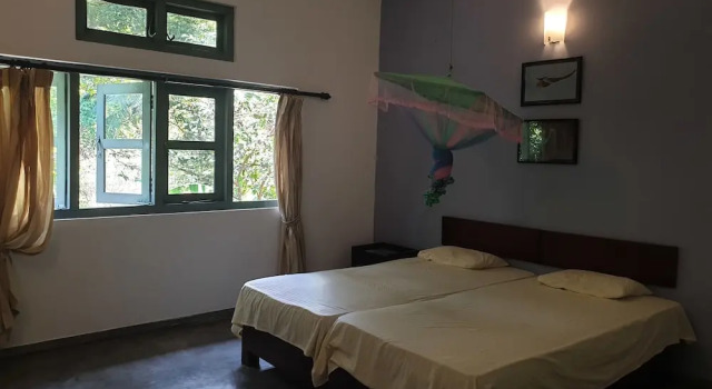 Номер Economy Jungle House