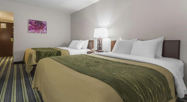 Четырёхместный номер Standard Цокольный этаж Comfort Inn & Suites