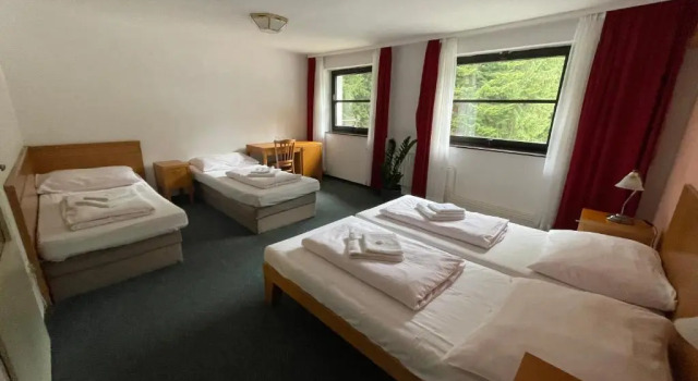 Номер Standard Hotel Bohemia