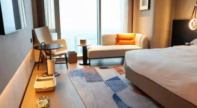 Двухместный номер Standard Novotel Huzhou South Taihu Lake