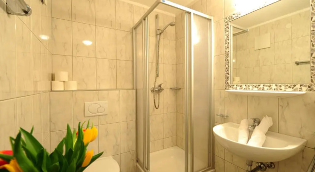 Двухместный номер Standard Hotel Traube