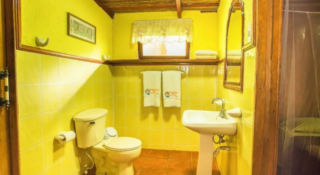 Люкс Redwood Beach Resort