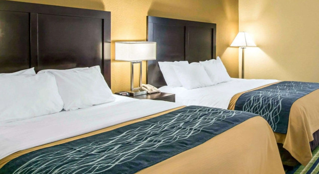 Четырёхместный номер Standard Comfort Inn & Suites Lantana - West Palm Beach South