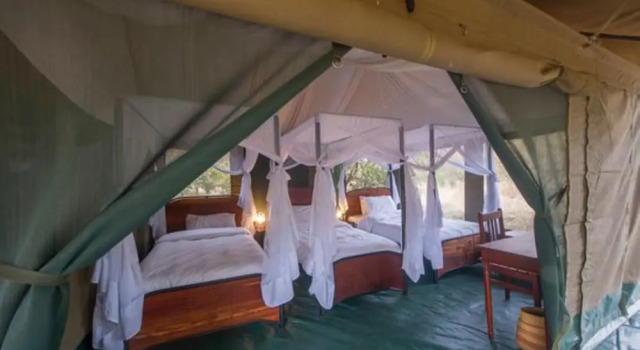 Acacia Migration Camp Kogatende, Забронировать Кемпинг Кемпинги и глэмпинги Серенгети, Кемпинг