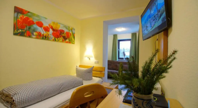 Habitación individual Estándar Hotel Waldmann