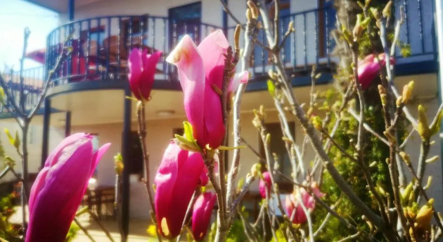Hostel Sadu Kutaisi