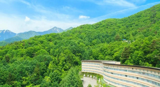 Люкс Izumigo AMBIENT Azumino Cottage