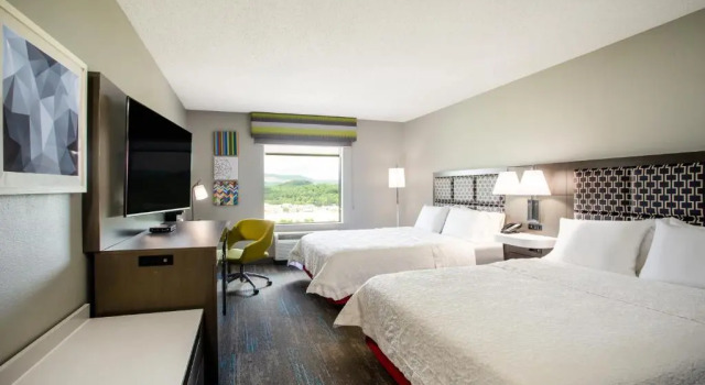 Четырёхместный номер Standard с видом на горы Hampton Inn Elkins