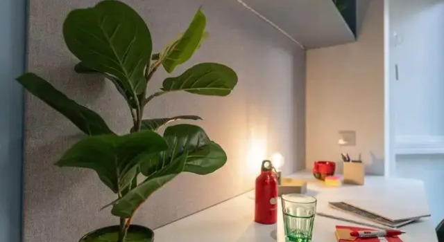 Студия Premium Sherbourne Student Village
