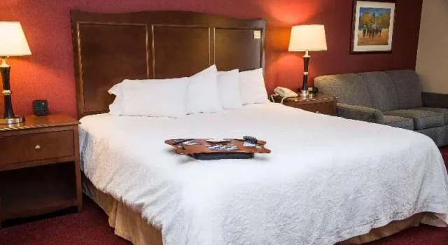 Двухместная студия Hampton Inn Lexington - Georgetown I-75