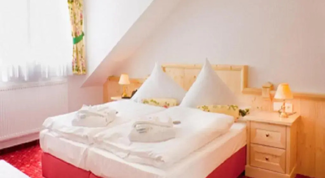 Полулюкс Elbhotel Bad Schandau