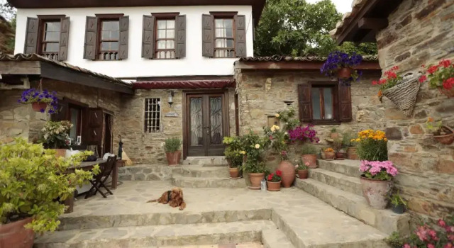 Коттедж с 2 комнатами с видом на окрестности Terrace Houses Sirince - Fig, Olive and Grapevine