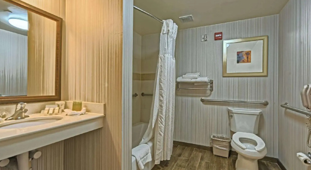 Четырёхместный номер Standard Hilton Garden Inn by Hilton Mount Laurel