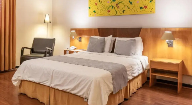 Двухместный номер Standard Dexter Hotel - Volta Redonda by Castelo Itaipava