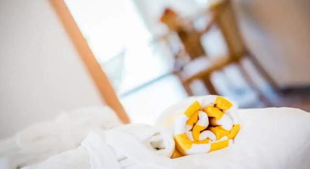 Номер Standard Hotel Sonnenhof