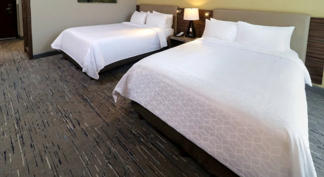 Четырёхместный номер Standard с видом на горы Holiday Inn Express & Suites Monterrey Valle by IHG