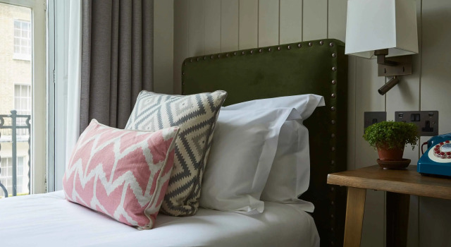 Одноместный номер Standard Room Mate Lime Tree