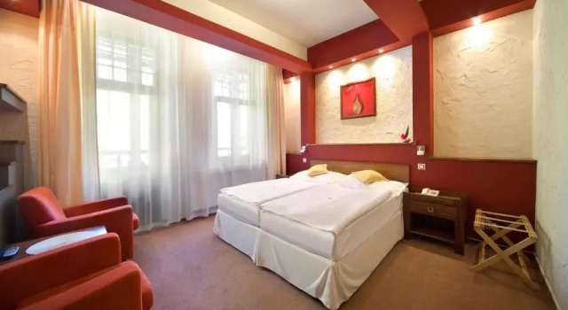 Двухместный номер Standard Spa & Wellness Hotel St. Moritz