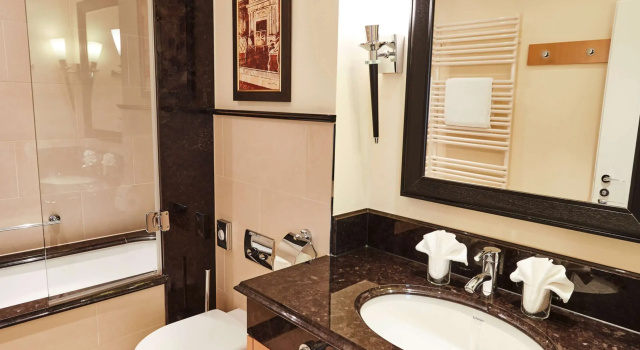 Двухместный номер Standard Steigenberger Icon Grandhotel Belvédère