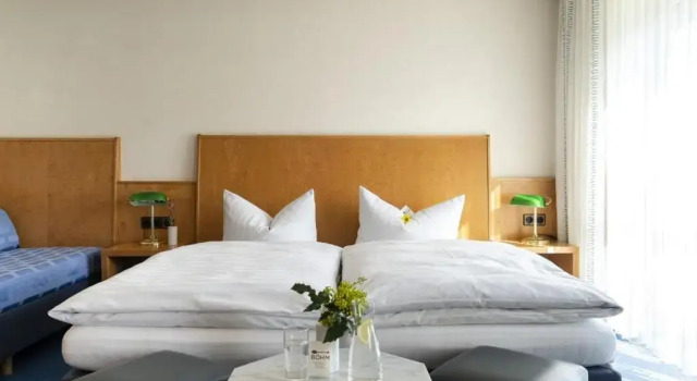 Номер Superior Hotel & Apartments Böhm
