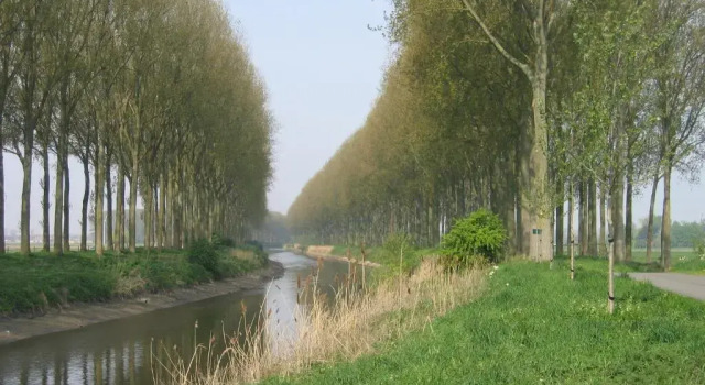 Jardin de Lieze